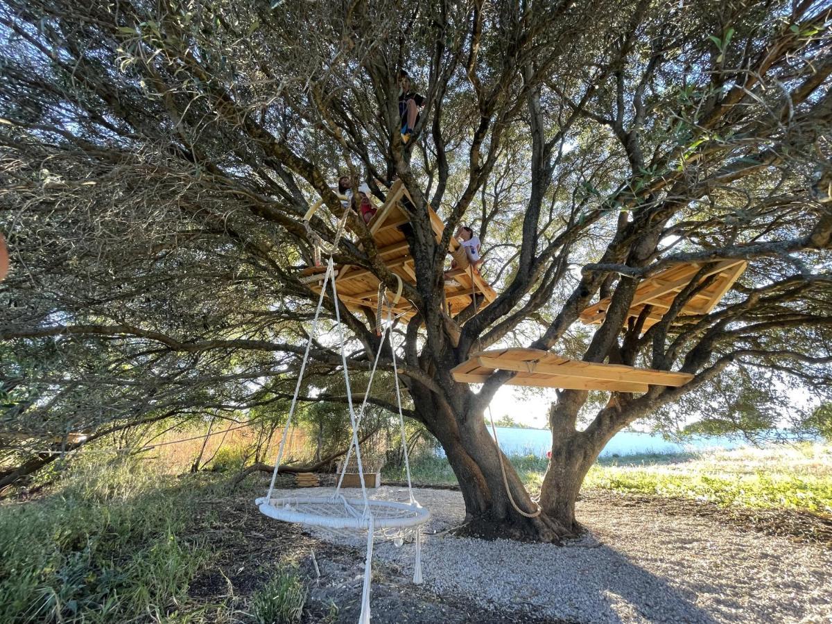 Tranquilo Glamping 호텔 Hozanejos 외부 사진