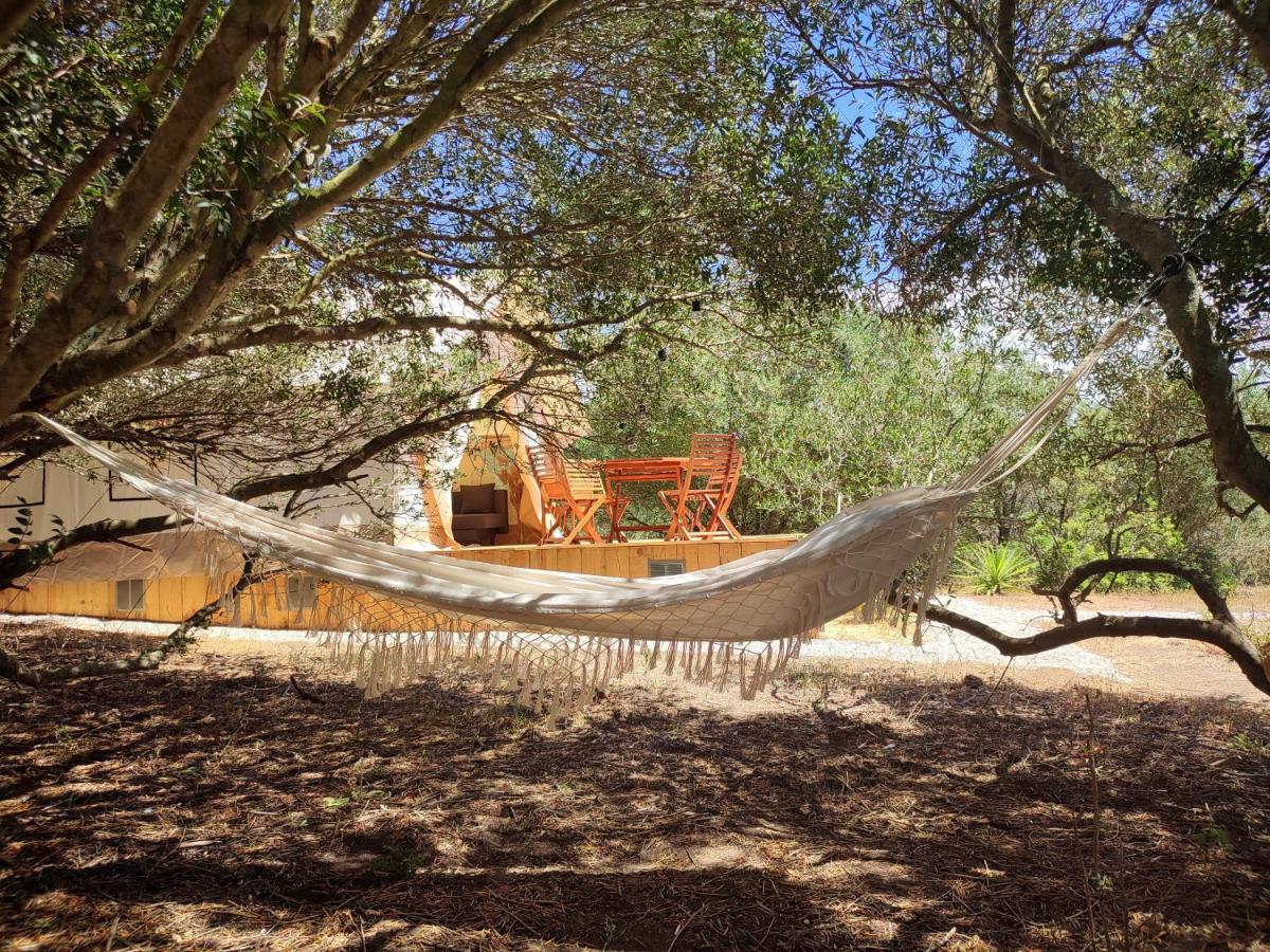 Tranquilo Glamping 호텔 Hozanejos 외부 사진