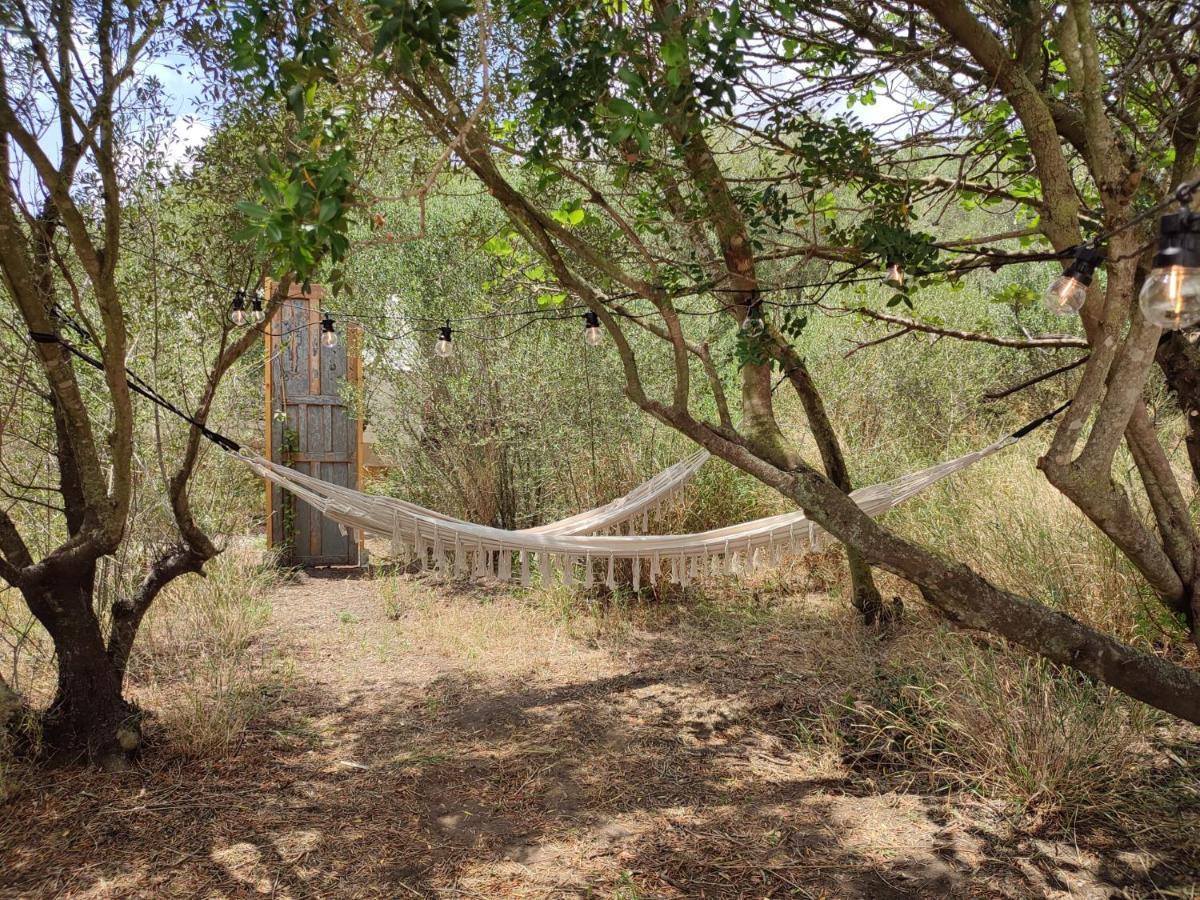 Tranquilo Glamping 호텔 Hozanejos 외부 사진